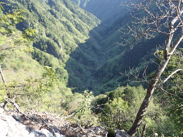 resize0052.jpg