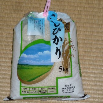 千葉県産 白米 こしひかり 5kg