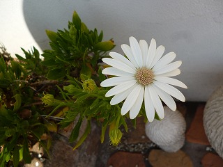P1160984ss.jpg