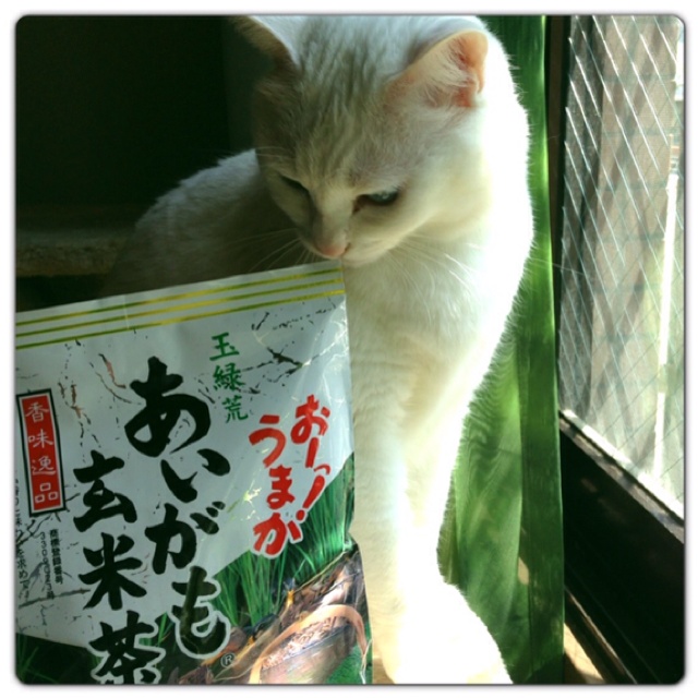 rblog-20130411165405-01.jpg