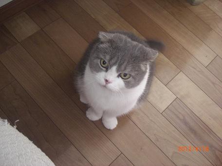 画像 268.jpg
