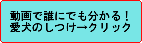 動画で誰にでも分かる愛犬のしつけ