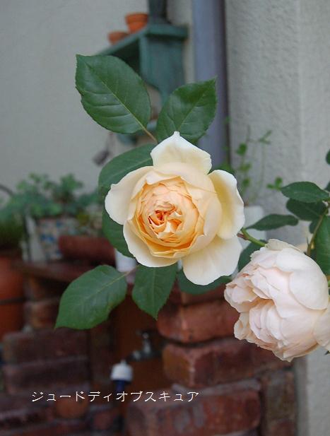 DSC_0576.JPG