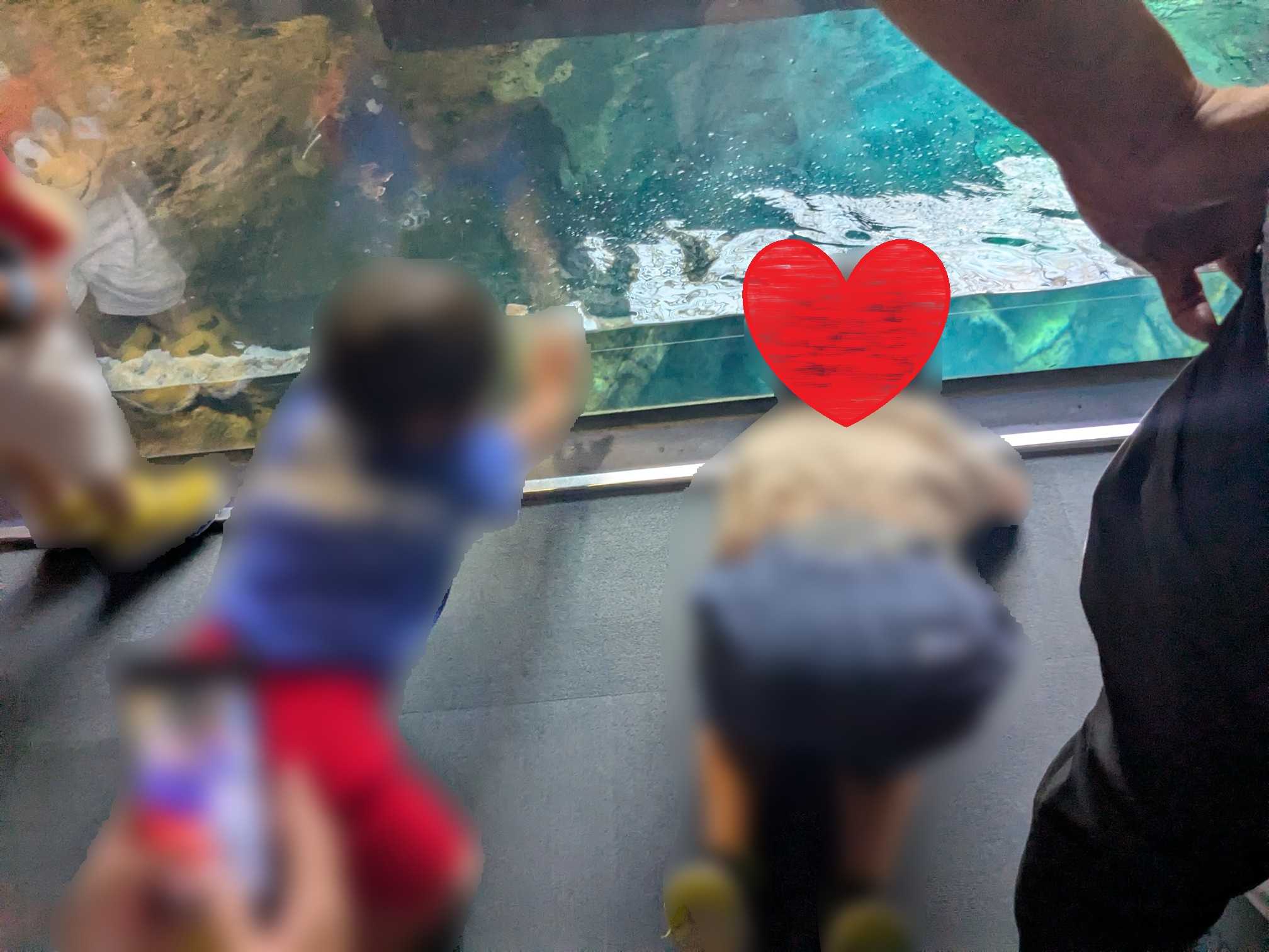 大阪府　子連れ水族館　海遊館 低すぎる水面