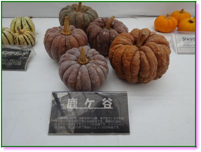 DSC01217.JPG