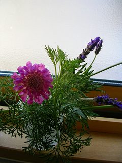 お花