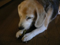 P1190078 - コピー.JPG