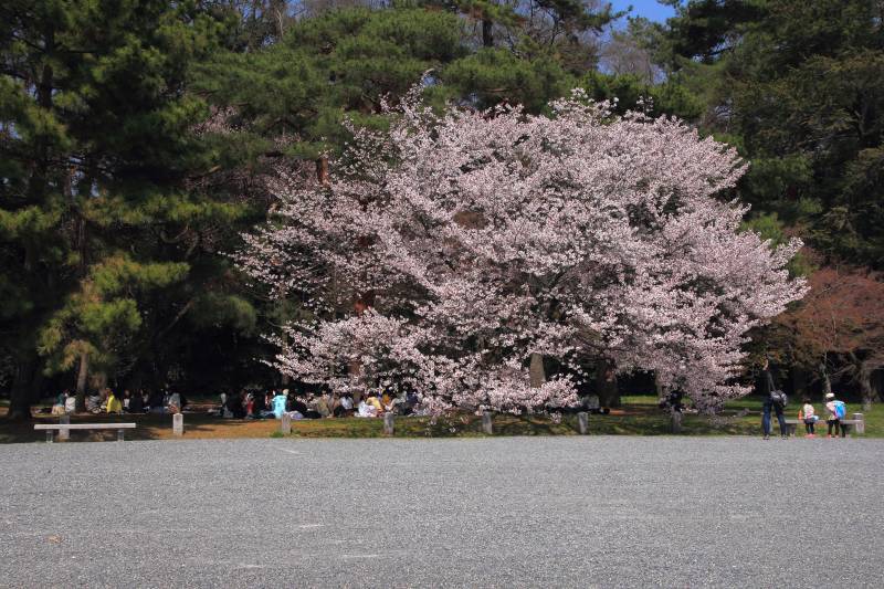 京都御苑_004.jpg