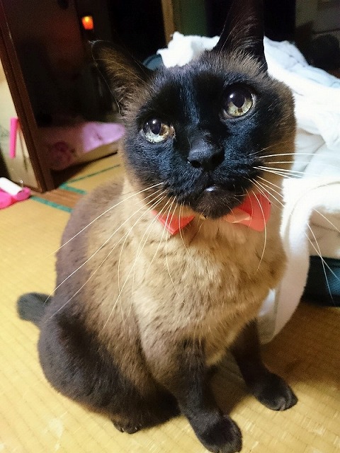 かなしい～涙