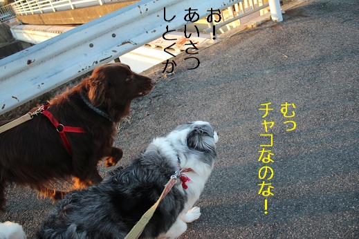 ソッチとアリス