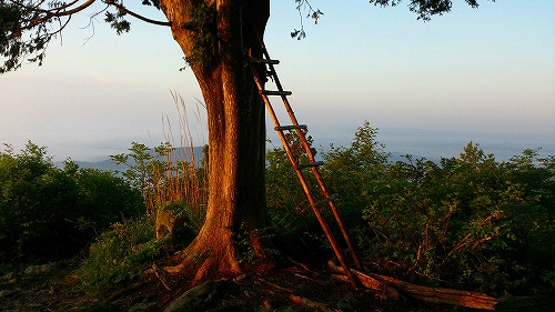 s-20140529笹倉山4国見崎ハシゴ.jpg