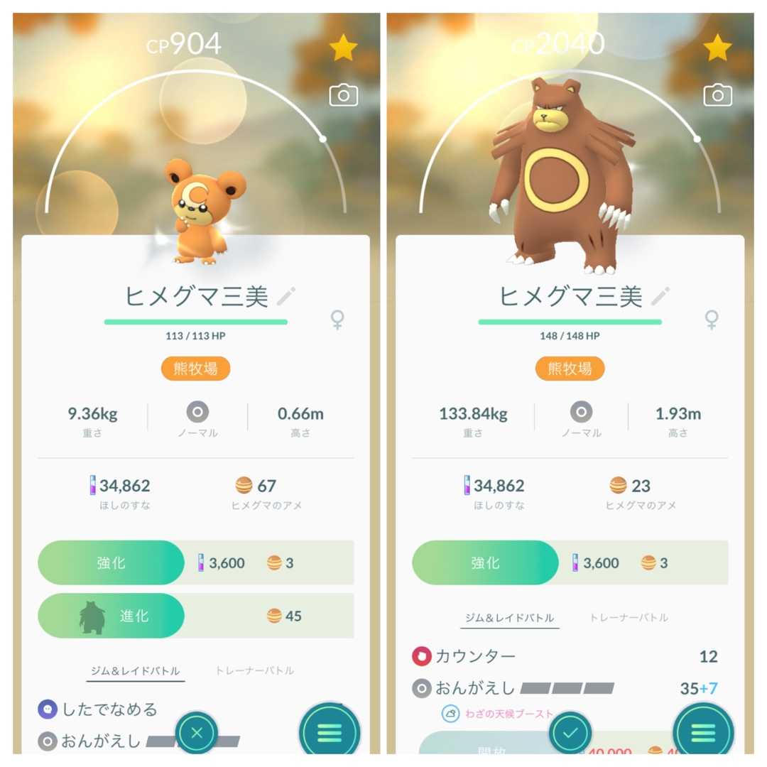 可哀想なリングマ 一筆啓上ヒメグマ日記 楽天ブログ