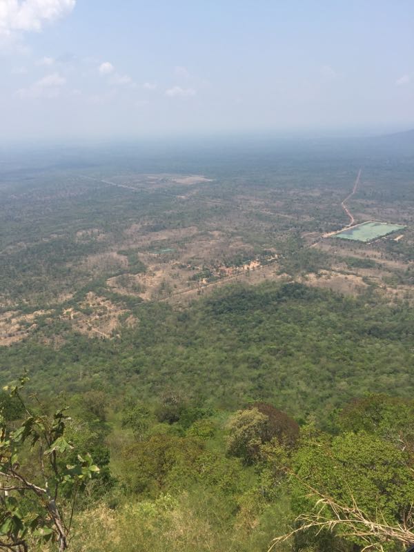 rblog-20190505162951-02.jpg
