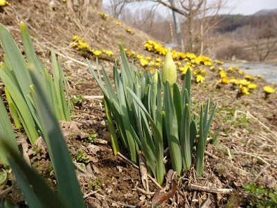 P3040031.JPG