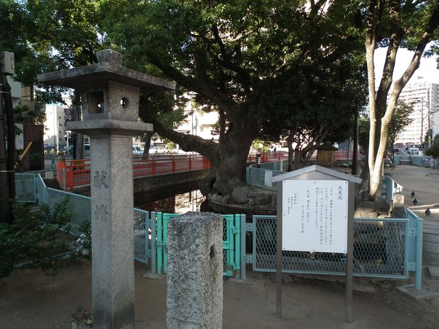 DSCF1667.JPG