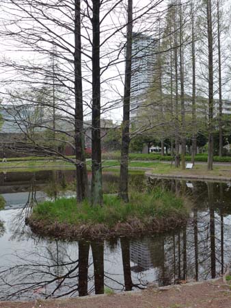 神宮東公園（３）