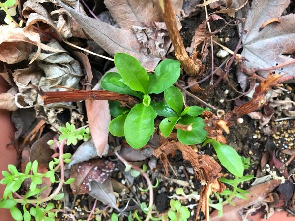 rblog-20180430174315-04.jpg
