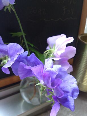 rblog-20140515143628-02.jpg