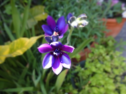 DSC00580.jpg