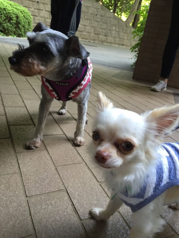 rblog-20160506013138-01.jpg