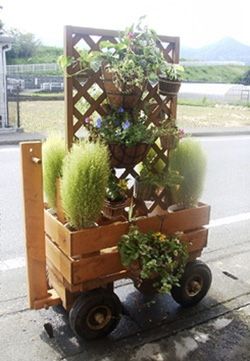 gardeninng-car