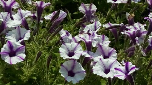 rblog-20180604125325-02.jpg