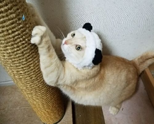 rblog-20180129122902-03.jpg