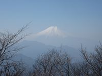 IMG_5007_R.JPG