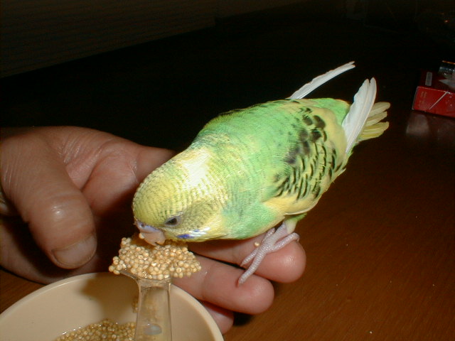 PIC00027.JPG