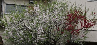 IMG_8459-13.jpg