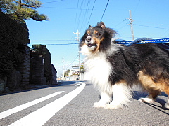 conv0556.JPG