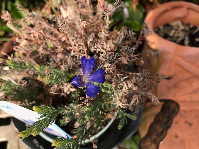 rblog-20190401163907-09.jpg