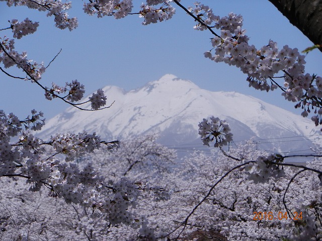 DSCN9876.jpg
