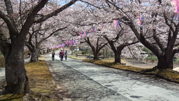 堂の前公園