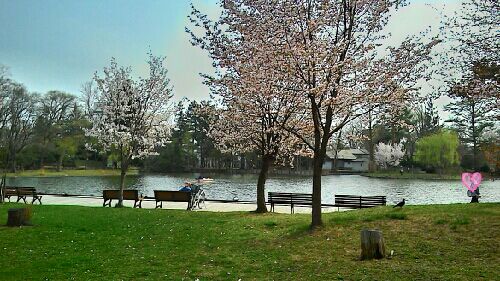 rblog-20150503225500-01.jpg
