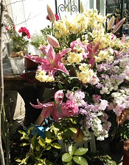 DSC_5514-8.jpg