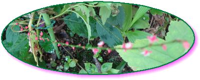DSC01200.JPG