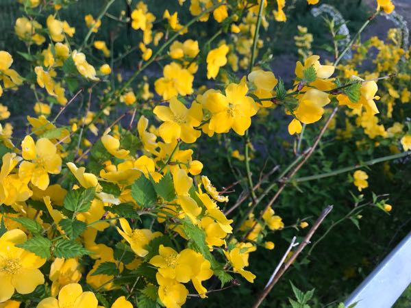 rblog-20180408180927-00.jpg