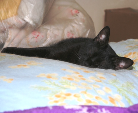 20131006ﾀｸ.jpg