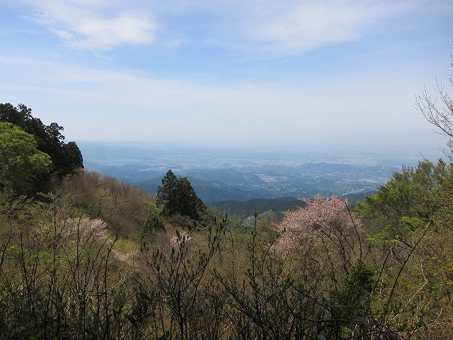 IMG_3507.jpg