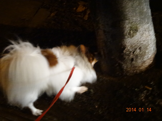 DSC00406.JPG