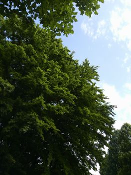 DCIM1866奈良山公園3.jpg