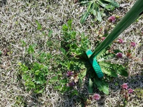 rblog-20180430124604-04.jpg