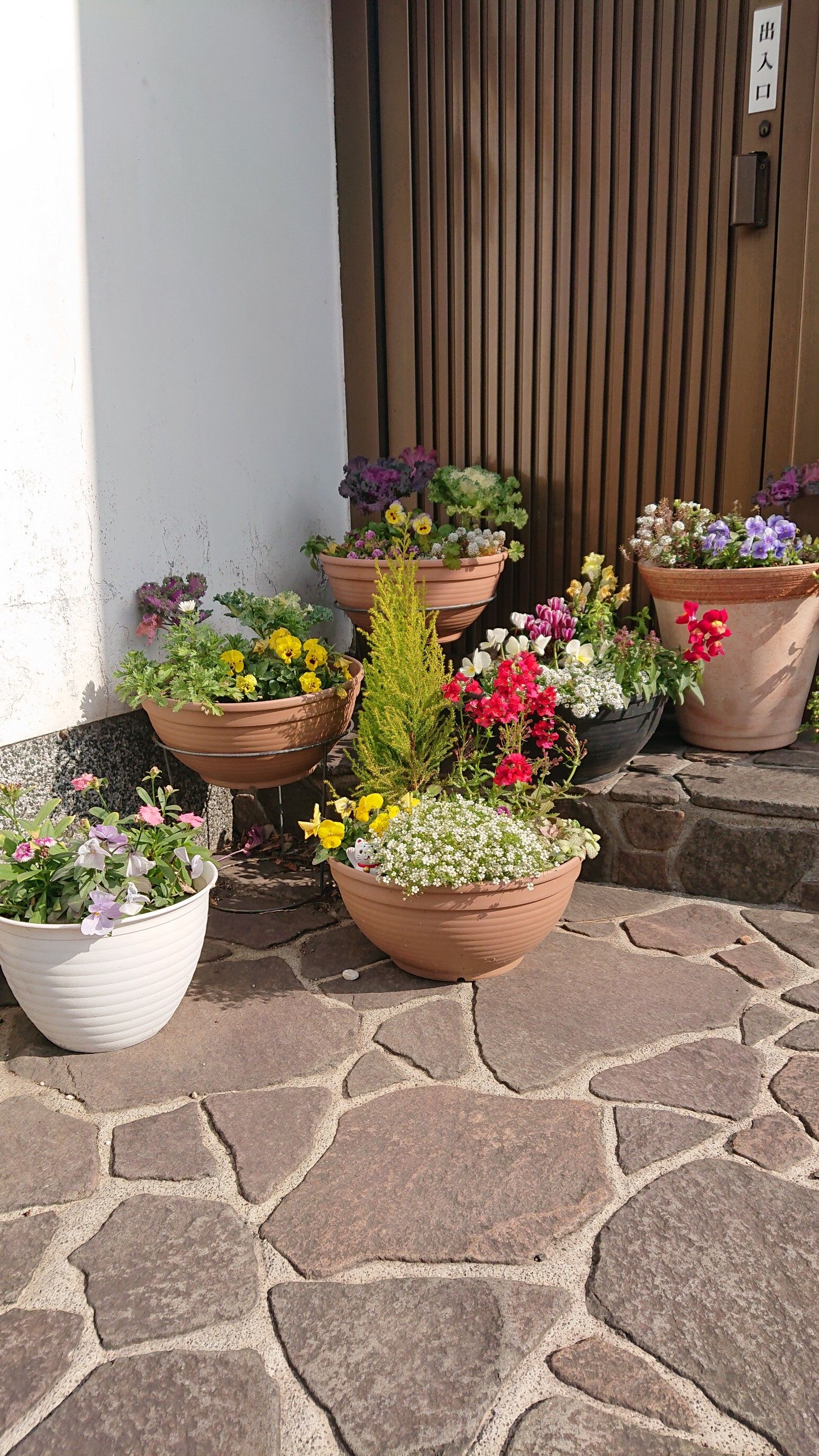 ガーデニングブログはじめました Shinryのにゃんこがーでん 楽天ブログ