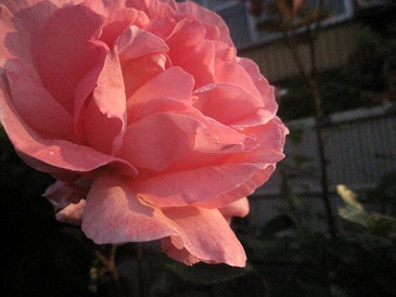 IMG_8734.JPG