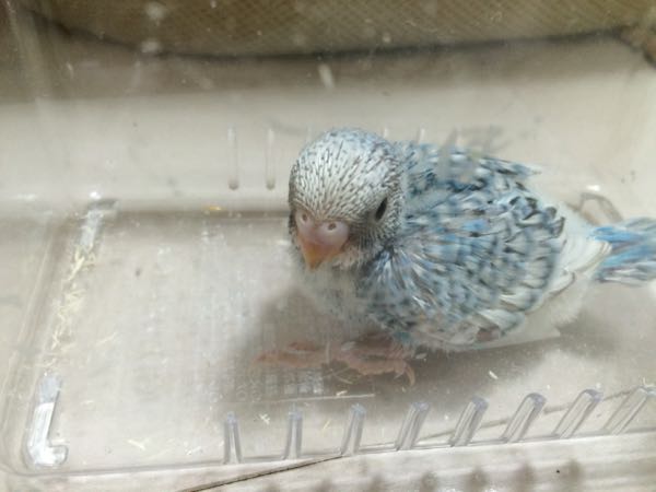 rblog-20150409143041-02.jpg