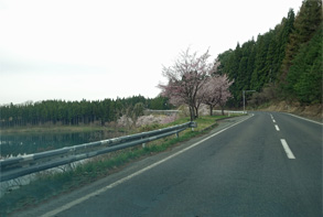 山形24.jpg