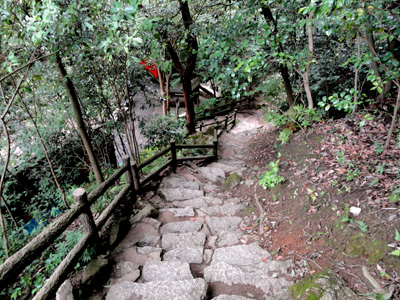 DSC01445-.jpg