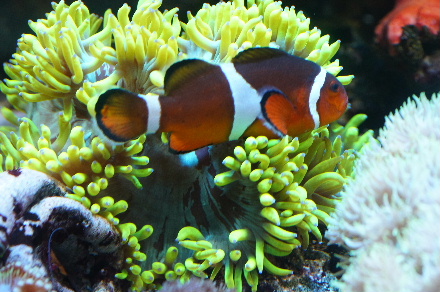 2015_0118LED0027.JPG