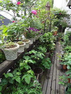 DSC00838.jpg